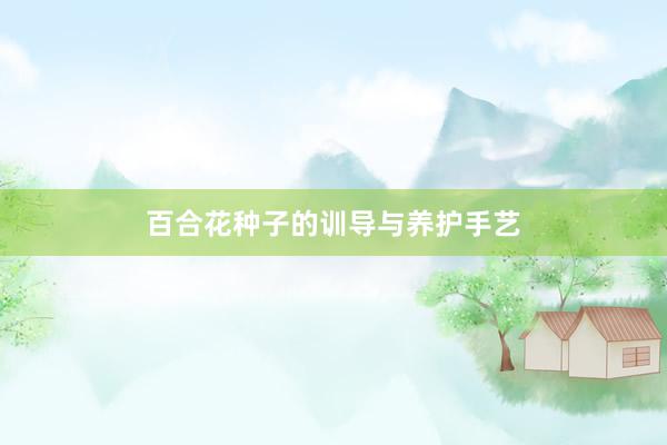 百合花种子的训导与养护手艺