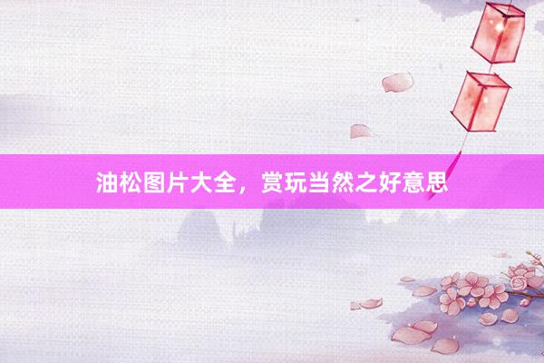 油松图片大全，赏玩当然之好意思