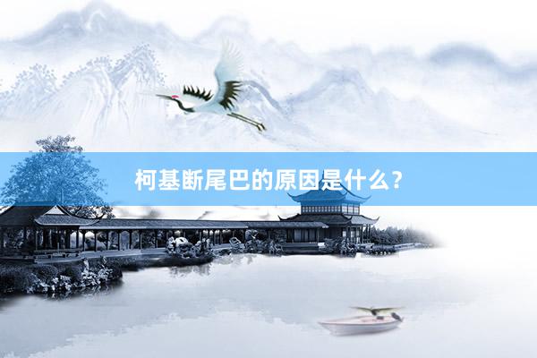 柯基断尾巴的原因是什么?