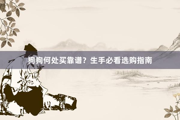 狗狗何处买靠谱？生手必看选购指南
