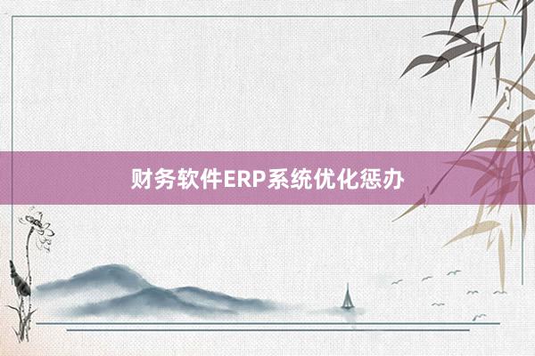 财务软件ERP系统优化惩办